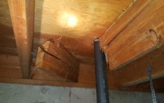 floor joist damaged by plumber